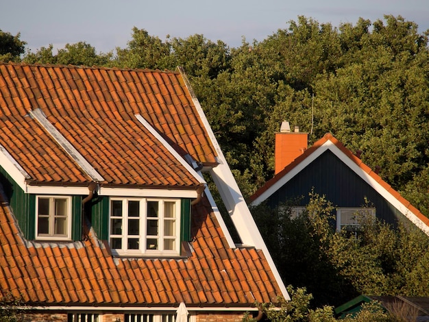 spiekeroog-island_1150964-49667